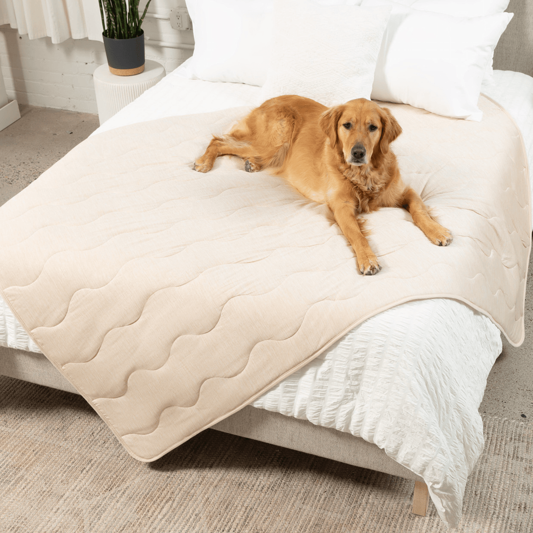 PupChill Cooling Waterproof Dog Blanket - Arctic Sand – Dog Blankets by Paw.com