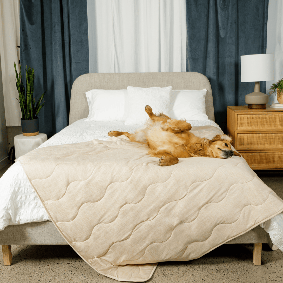 PupChill Cooling Waterproof Dog Blanket - Arctic Sand – Dog Blankets by Paw.com