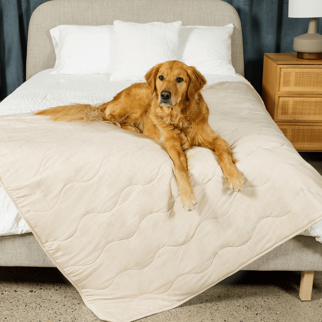 PupChill Cooling Waterproof Dog Blanket - Arctic Sand – Dog Blankets by Paw.com