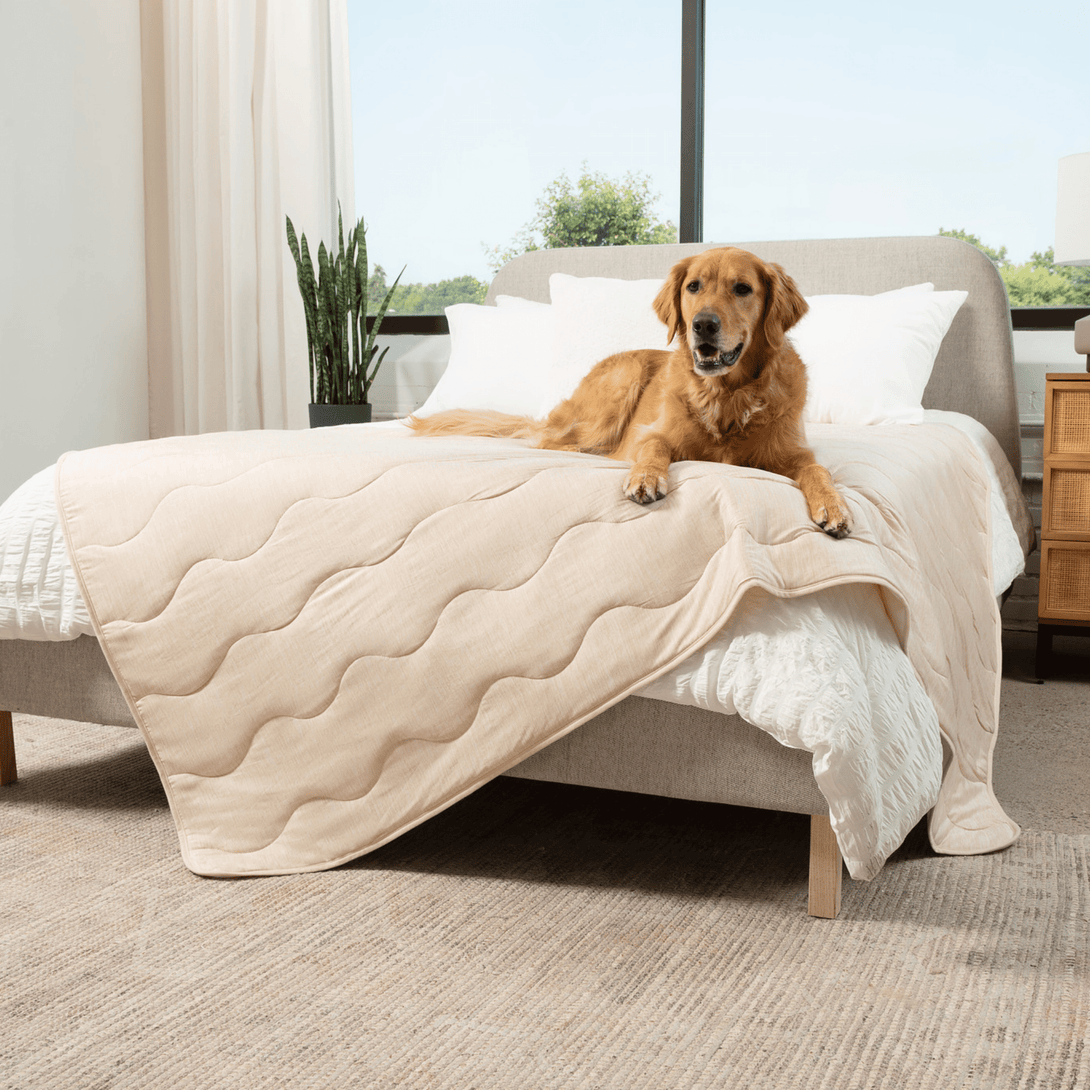 PupChill Cooling Waterproof Dog Blanket - Arctic Sand – Dog Blankets by Paw.com