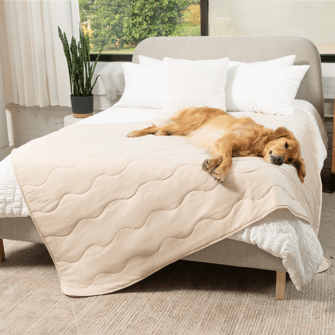 PupChill Cooling Waterproof Dog Blanket - Arctic Sand – Dog Blankets by Paw.com