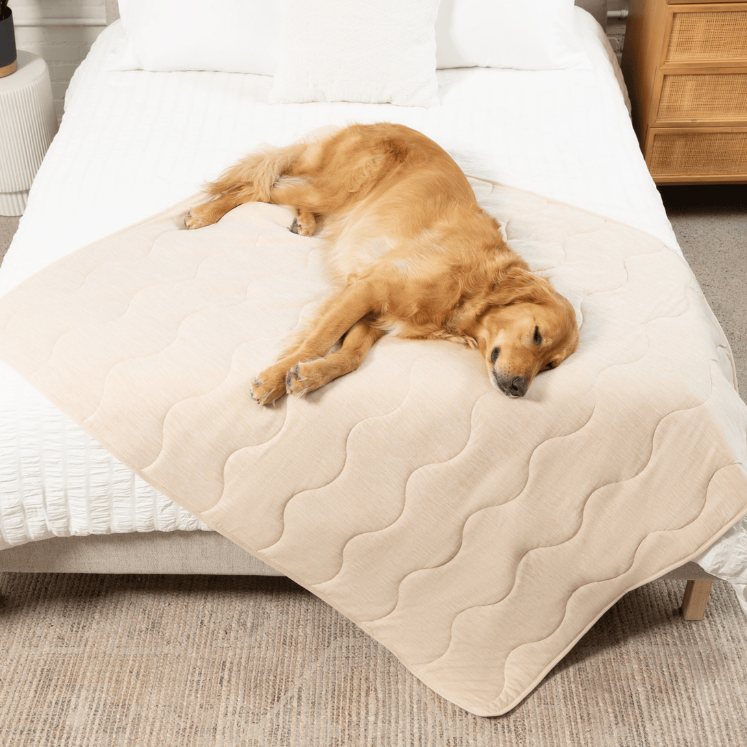 PupChill Cooling Waterproof Dog Blanket - Arctic Sand – Dog Blankets by Paw.com