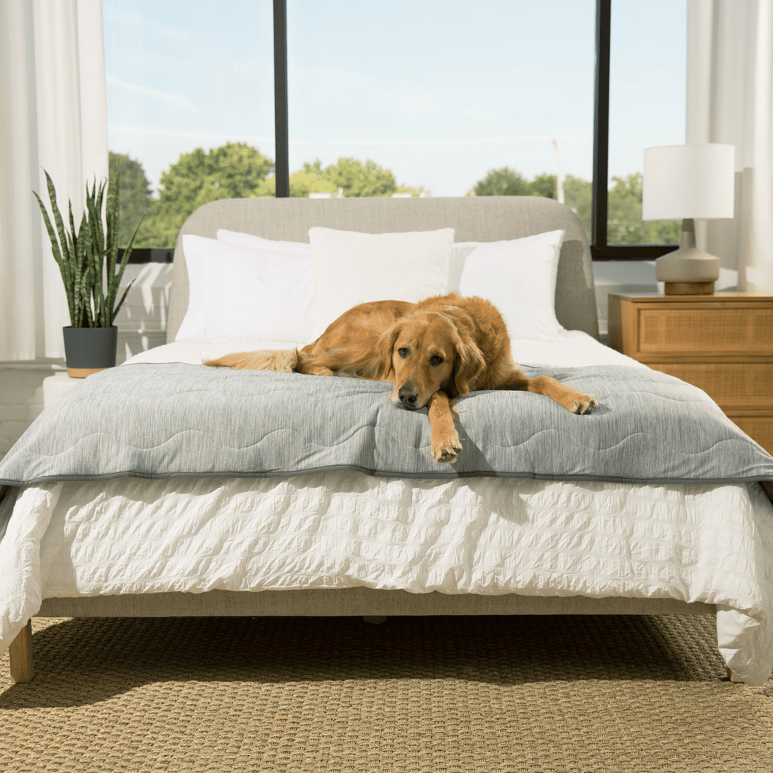 PupChill Cooling Waterproof Runner Dog Blanket - Arctic Grey – Dog Blankets by Paw.com