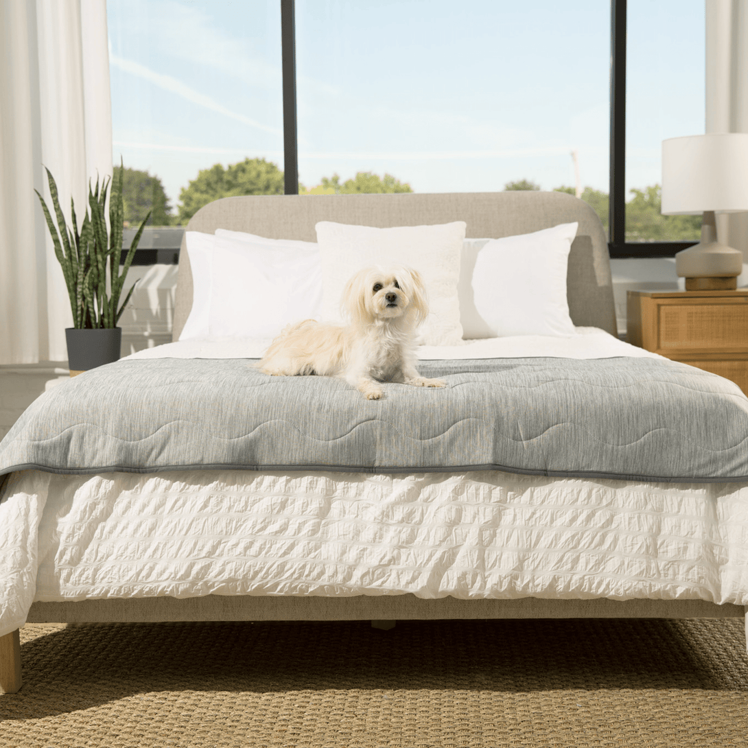 PupChill Cooling Waterproof Runner Dog Blanket - Arctic Grey – Dog Blankets by Paw.com