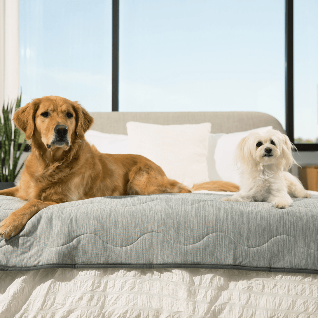 PupChill Cooling Waterproof Runner Dog Blanket - Arctic Grey – Dog Blankets by Paw.com