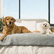 PupChill Cooling Waterproof Runner Dog Blanket - Arctic Grey – Dog Blankets by Paw.com