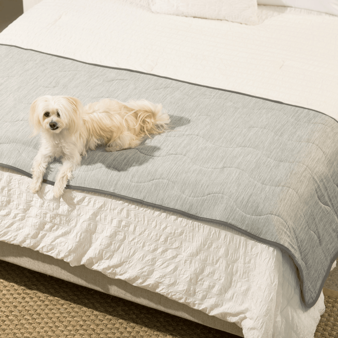 PupChill Cooling Waterproof Runner Dog Blanket - Arctic Grey – Dog Blankets by Paw.com