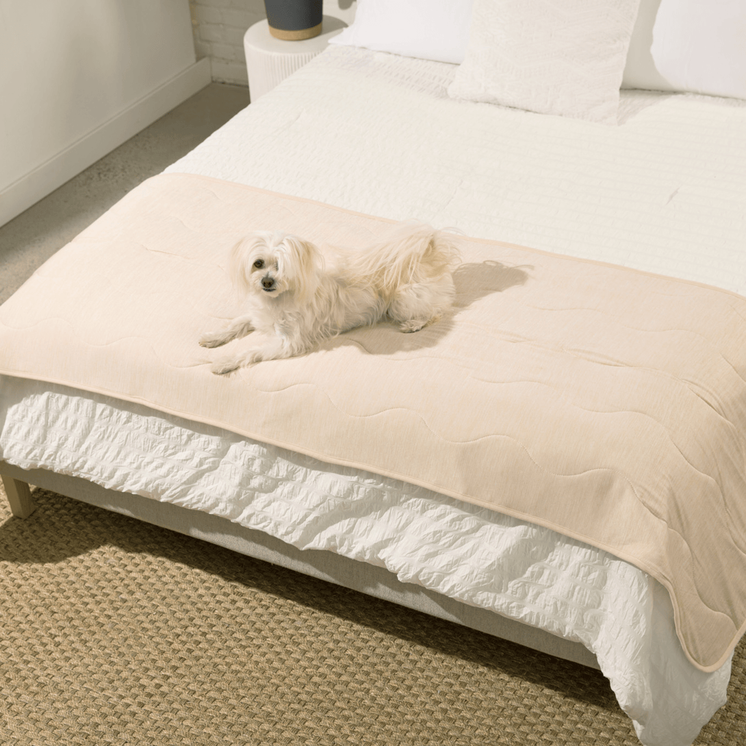 PupChill Cooling Waterproof Runner Dog Blanket - Arctic Sand – Dog Blankets by Paw.com