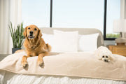 PupChill Cooling Waterproof Runner Dog Blanket - Arctic Sand – Dog Blankets by Paw.com