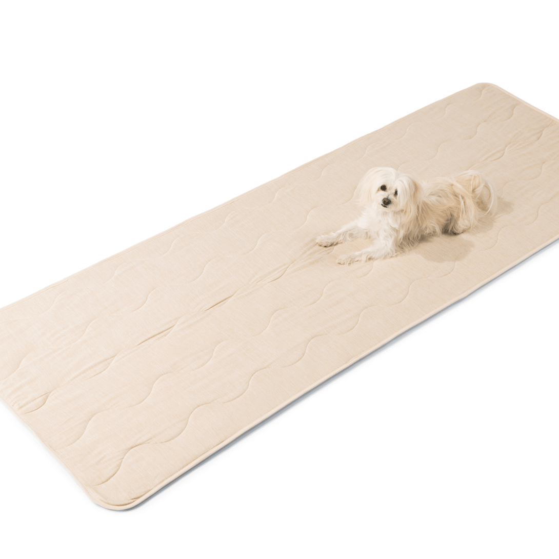 PupChill Cooling Waterproof Runner Dog Blanket - Arctic Sand – Dog Blankets by Paw.com