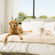 PupChill Cooling Waterproof Runner Dog Blanket - Arctic Sand – Dog Blankets by Paw.com