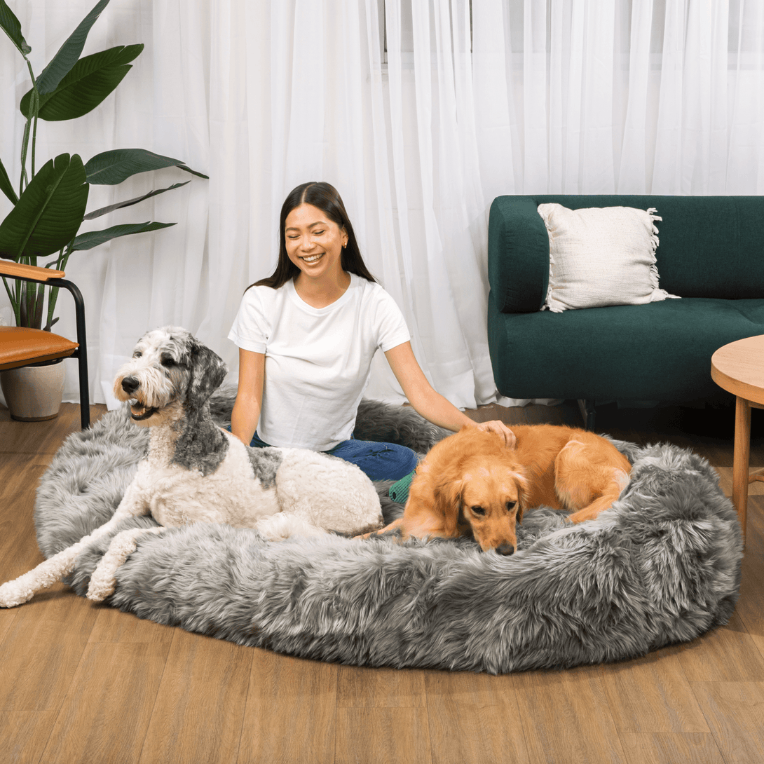 PupCloud Human - Size Dog Bed + Matching Waterproof Blanket Bundle - Charcoal Grey – Bundles by Paw.com