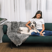 PupCloud Human - Size Dog Bed + Matching Waterproof Blanket Bundle - Charcoal Grey – Bundles by Paw.com