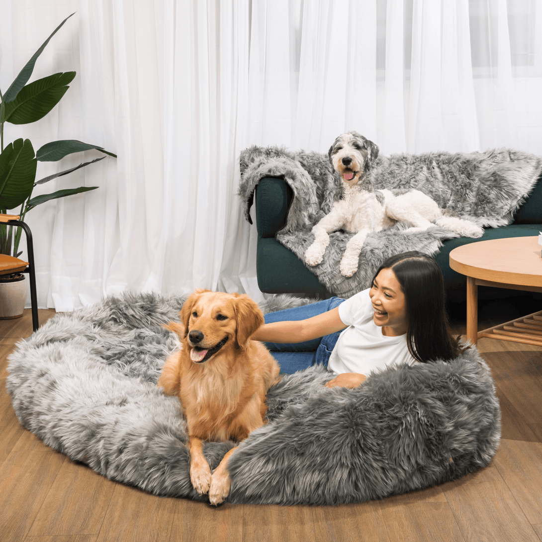PupCloud Human - Size Dog Bed + Matching Waterproof Blanket Bundle - Charcoal Grey – Bundles by Paw.com