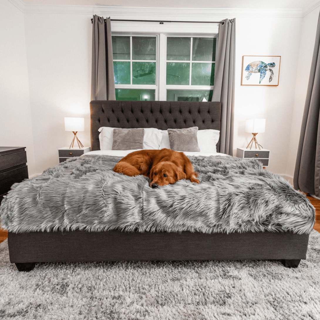 PupCloud Human - Size Dog Bed + Matching Waterproof Blanket Bundle - Charcoal Grey – Bundles by Paw.com
