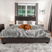PupCloud Human - Size Dog Bed + Matching Waterproof Blanket Bundle - Charcoal Grey – Bundles by Paw.com