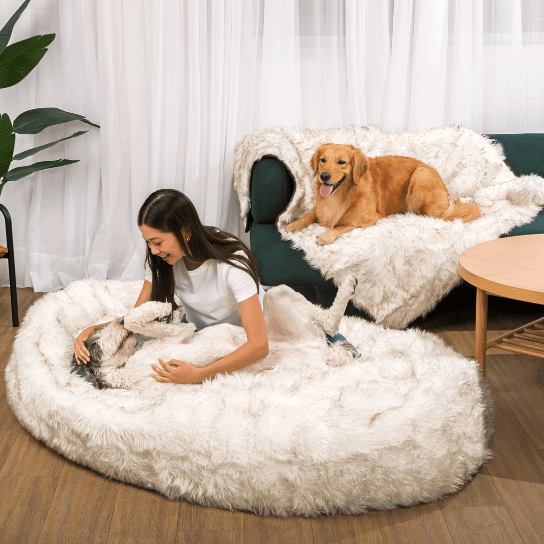 PupCloud Human - Size Dog Bed + Matching Waterproof Blanket Bundle - White with Brown Accents – Bundles by Paw.com