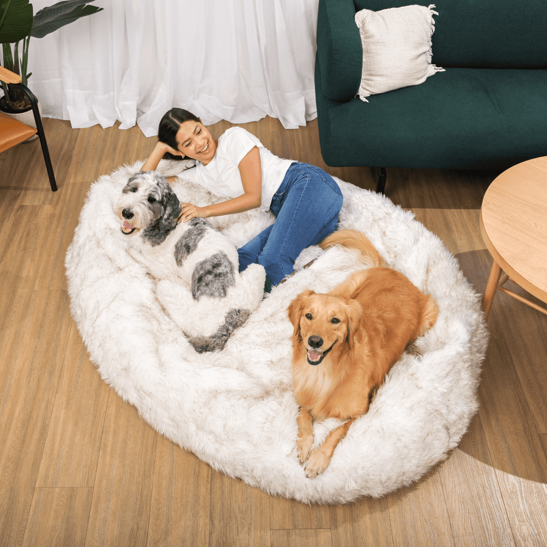 PupCloud Human - Size Dog Bed + Matching Waterproof Blanket Bundle - White with Brown Accents – Bundles by Paw.com