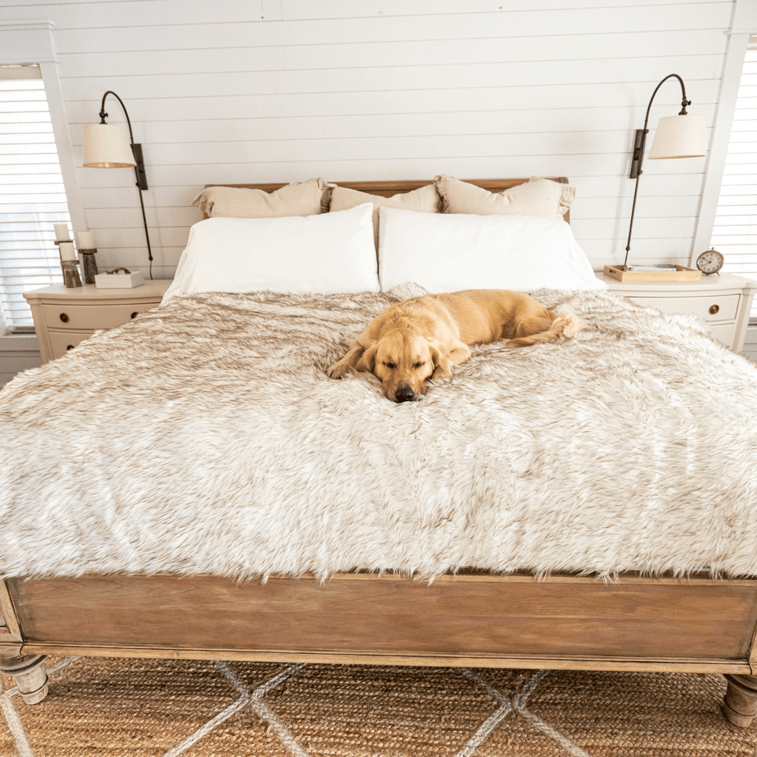 PupCloud Human - Size Dog Bed + Matching Waterproof Blanket Bundle - White with Brown Accents – Bundles by Paw.com