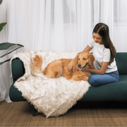 PupCloud Human - Size Dog Bed + Matching Waterproof Blanket Bundle - White with Brown Accents – Bundles by Paw.com