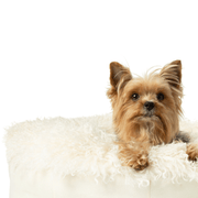 PupPouf Luxe Faux Fur Donut Dog Bed - Plush Sheep Ivory – Dog Beds by Paw.com