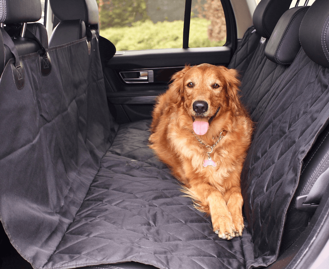 PupProtector Back Seat Dog Car Cover – Dog Car Accessories by Paw.com