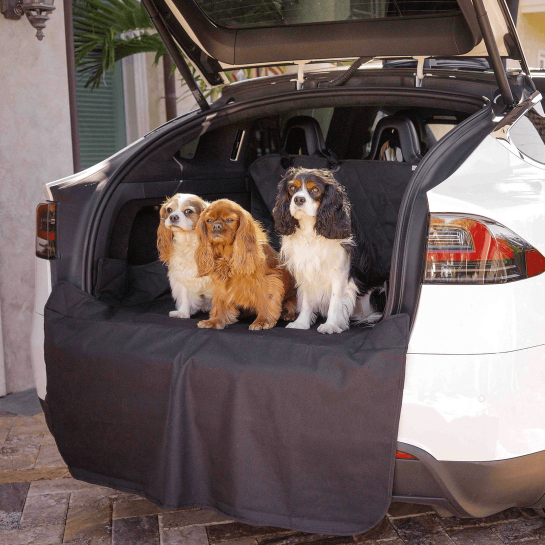 PupProtector Cargo Cover Liner for SUVs and Cars – Dog Outdoor & Travel Gear by Paw.com