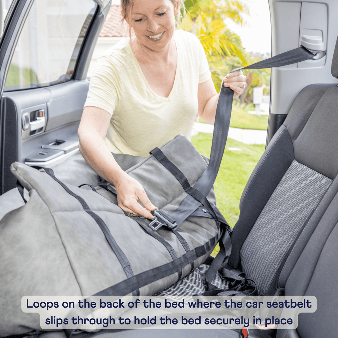 PupProtector Faux Leather Memory Foam Car Dog Bed - Black – Dog Beds by Paw.com