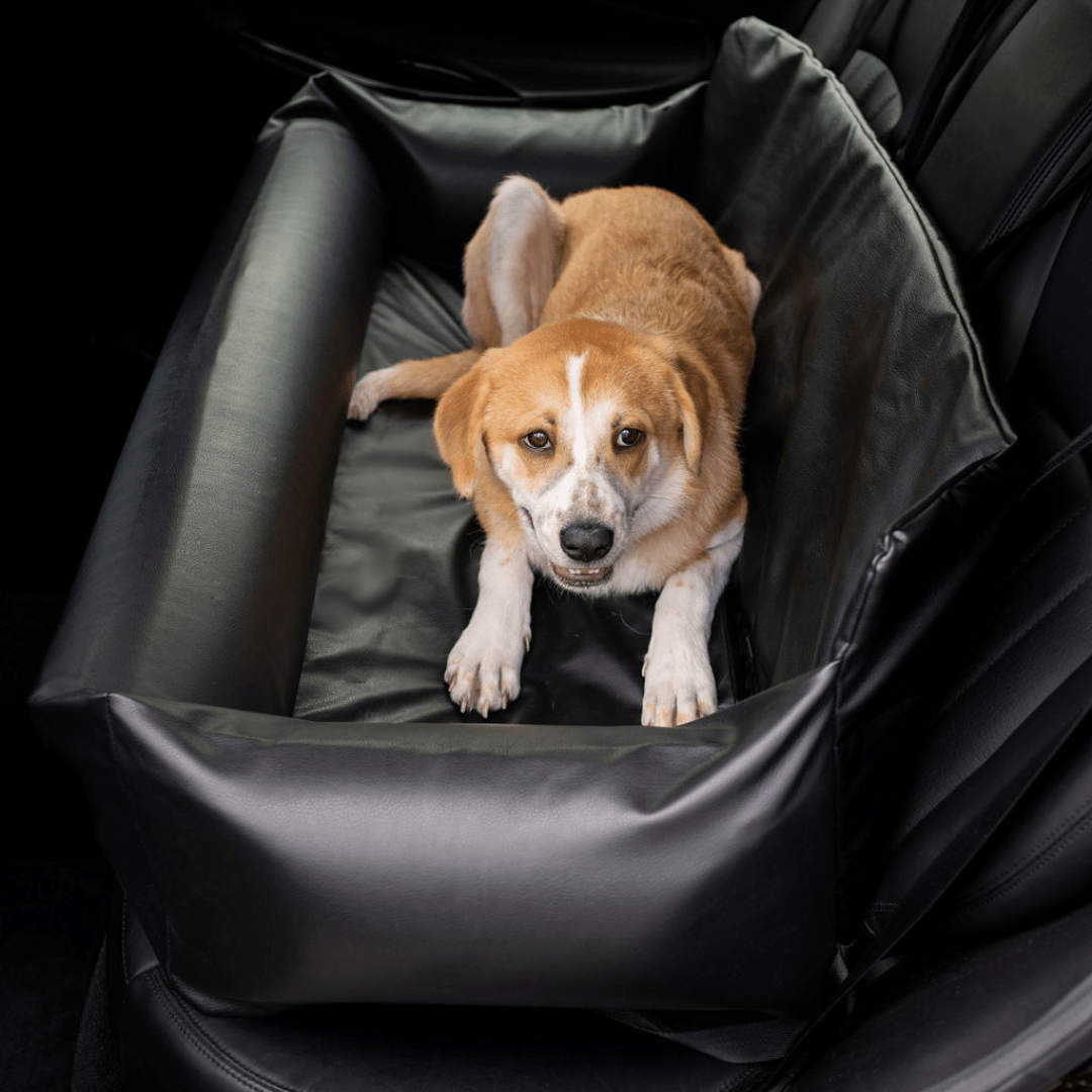 PupProtector Faux Leather Memory Foam Car Dog Bed - Black – Dog Beds by Paw.com