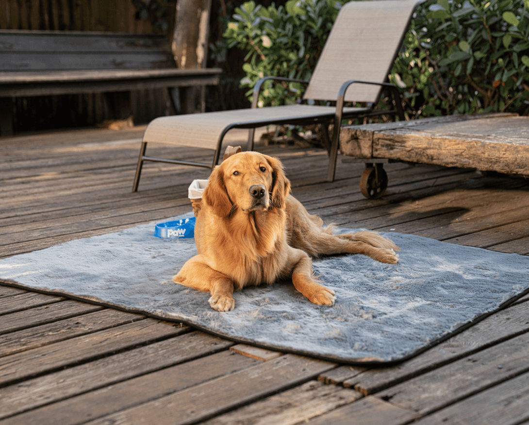 PupProtector Summer Short Fur Waterproof Throw Dog Blanket - Charcoal Grey – Dog Blankets by Paw.com