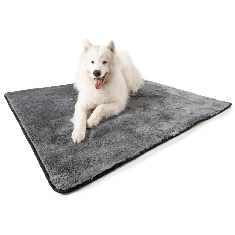 PupProtector Summer Short Fur Waterproof Throw Dog Blanket - Charcoal Grey – Dog Blankets by Paw.com