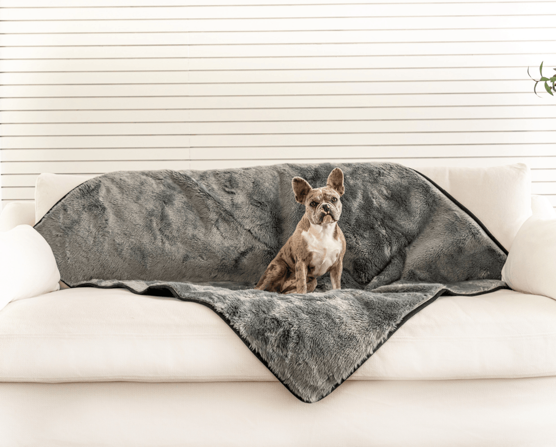 PupProtector Summer Short Fur Waterproof Throw Dog Blanket - Charcoal Grey – Dog Blankets by Paw.com
