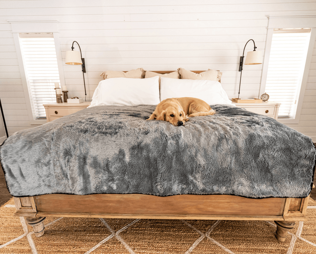 PupProtector Summer Short Fur Waterproof Throw Dog Blanket - Charcoal Grey – Dog Blankets by Paw.com