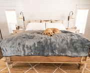 PupProtector Summer Short Fur Waterproof Throw Dog Blanket - Charcoal Grey – Dog Blankets by Paw.com