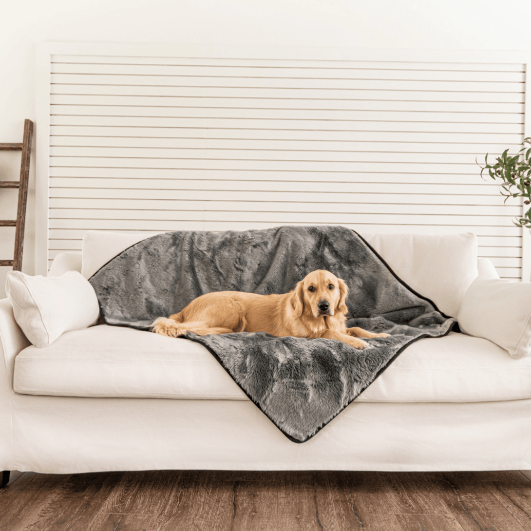 PupProtector Summer Short Fur Waterproof Throw Dog Blanket - Charcoal Grey – Dog Blankets by Paw.com
