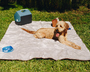 PupProtector Summer Short Fur Waterproof Throw Dog Blanket - Grey – Dog Blankets by Paw.com