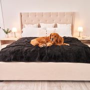 PupProtector Summer Short Fur Waterproof Throw Dog Blanket - Midnight Black – Dog Blankets by Paw.com