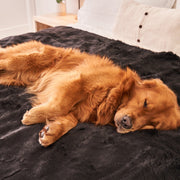 PupProtector Summer Short Fur Waterproof Throw Dog Blanket - Midnight Black – Dog Blankets by Paw.com