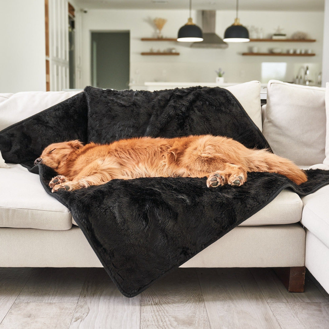 PupProtector Summer Short Fur Waterproof Throw Dog Blanket - Midnight Black – Dog Blankets by Paw.com
