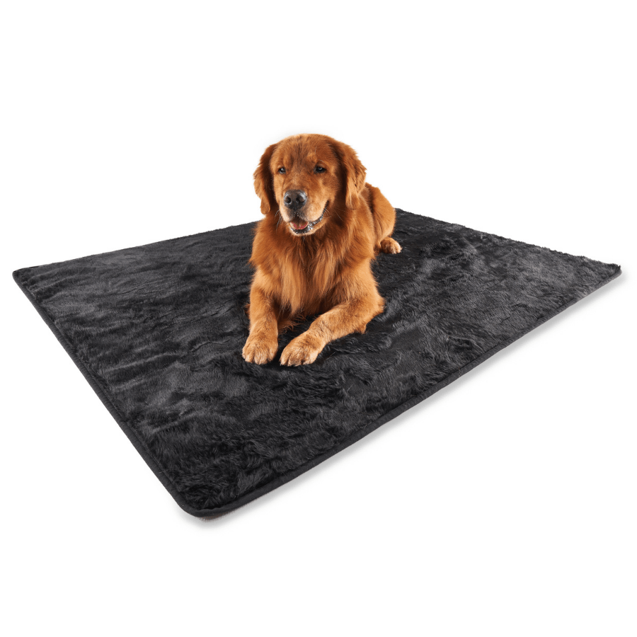 PupProtector Summer Short Fur Waterproof Throw Dog Blanket - Midnight Black – Dog Blankets by Paw.com
