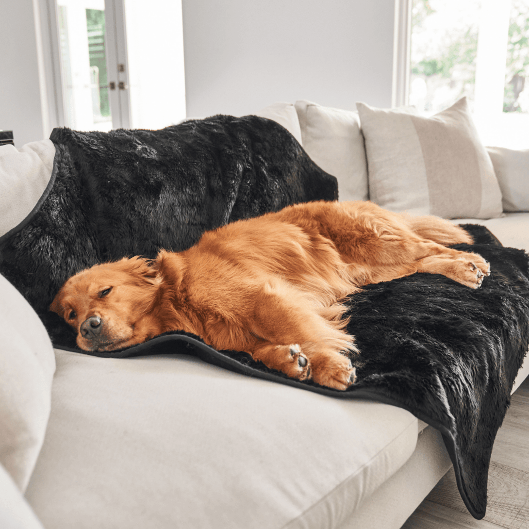 PupProtector Summer Short Fur Waterproof Throw Dog Blanket - Midnight Black – Dog Blankets by Paw.com
