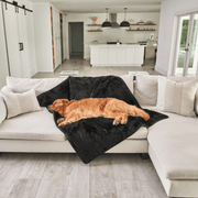 PupProtector Summer Short Fur Waterproof Throw Dog Blanket - Midnight Black – Dog Blankets by Paw.com