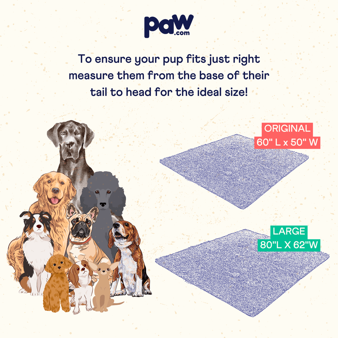 PupProtector Summer Short Fur Waterproof Throw Dog Blanket - Polar White – Dog Blankets by Paw.com