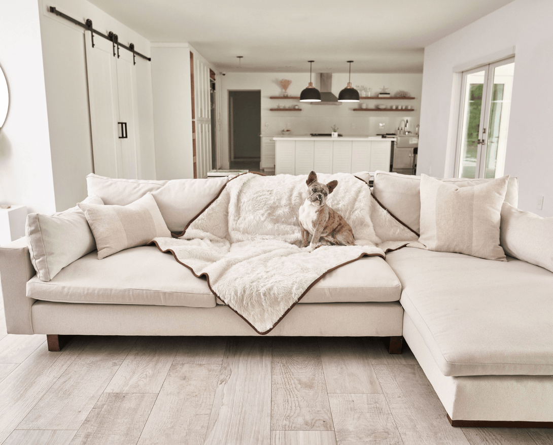 PupProtector Summer Short Fur Waterproof Throw Dog Blanket - Polar White – Dog Blankets by Paw.com