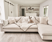 PupProtector Summer Short Fur Waterproof Throw Dog Blanket - Polar White – Dog Blankets by Paw.com