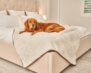 PupProtector Summer Short Fur Waterproof Throw Dog Blanket - Polar White – Dog Blankets by Paw.com