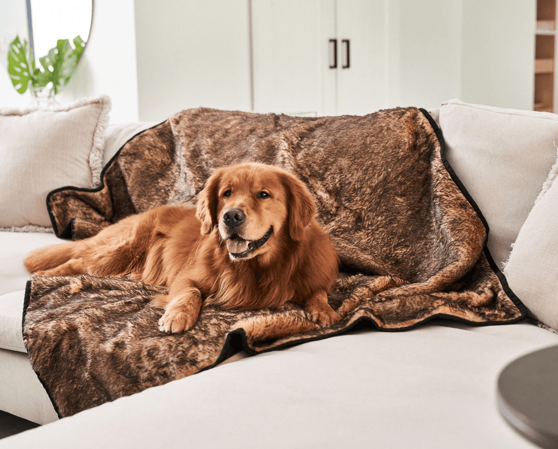 PupProtector Summer Short Fur Waterproof Throw Dog Blanket - Sable Tan – Dog Blankets by Paw.com