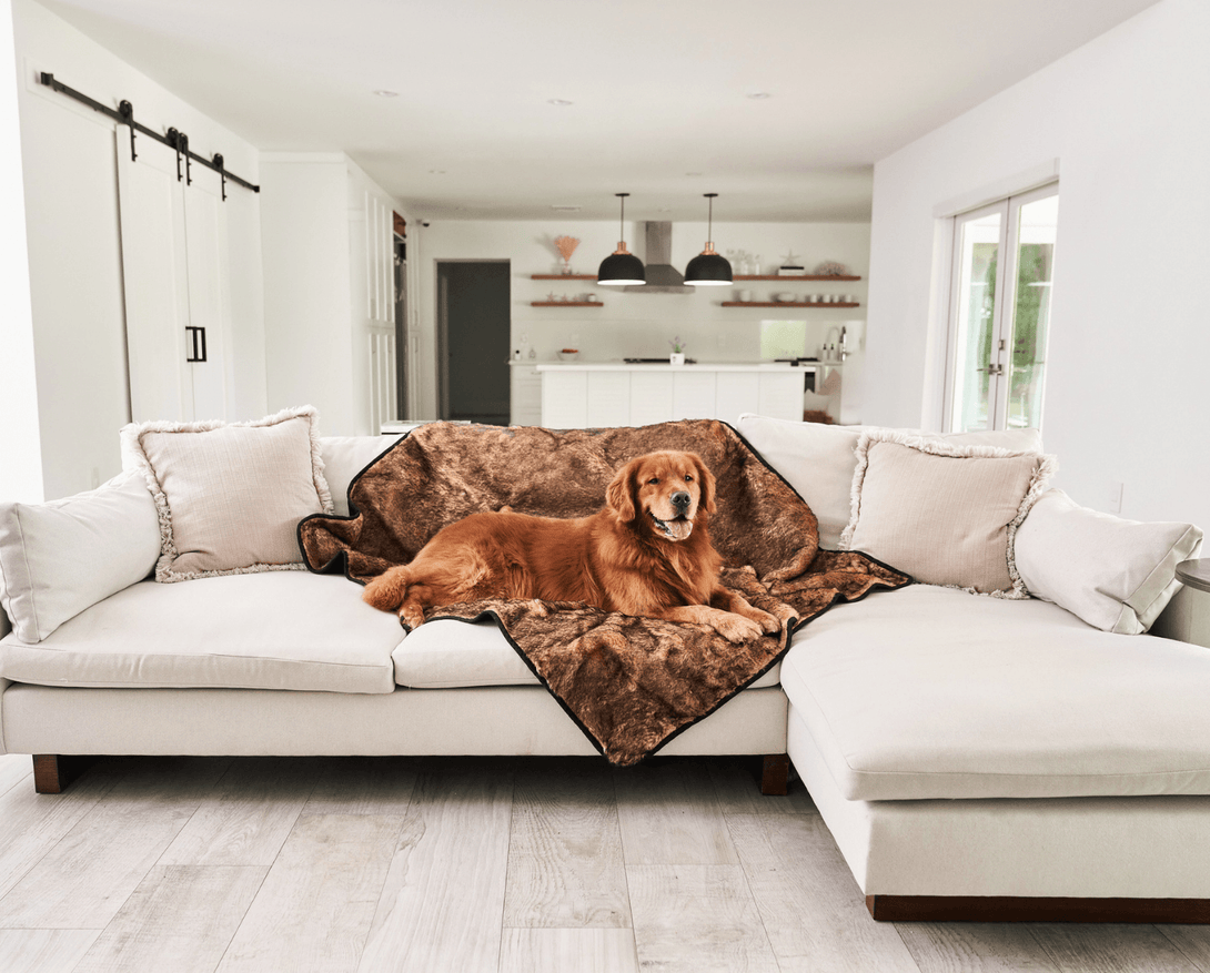 PupProtector Summer Short Fur Waterproof Throw Dog Blanket - Sable Tan – Dog Blankets by Paw.com