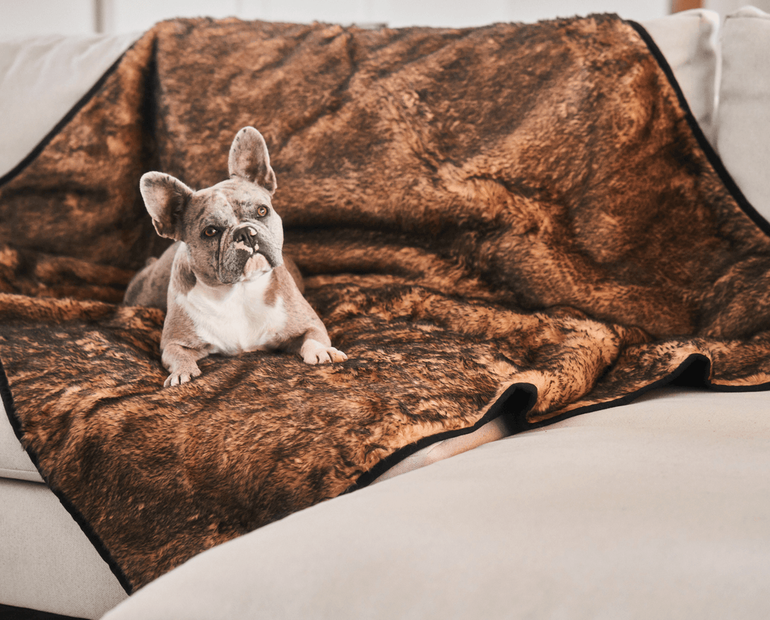 PupProtector Summer Short Fur Waterproof Throw Dog Blanket - Sable Tan – Dog Blankets by Paw.com
