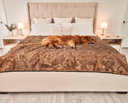 PupProtector Summer Short Fur Waterproof Throw Dog Blanket - Sable Tan – Dog Blankets by Paw.com
